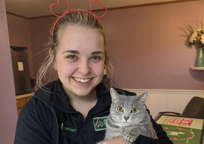 Carousel Slide 2: Our awesome CSR, Hannah, and our clinic kitty, Itty Bitty.