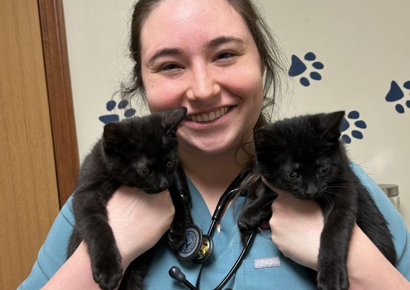 Carousel Slide 4: Double the trouble and just as cute - these two sweet kittens named Mischief and Mayhem recently visited Dr. Manzano for their first vaccines. New kitten? Call us today at 740-852-9151 to schedule an appointment.
